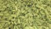 Fennel 1Kg