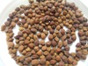 Kala Chana Brown Chick Peas 2kg
