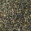 Beans, Pulses & Lentils