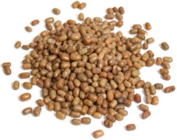 Moth Beans 500g