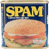 Spam 340g