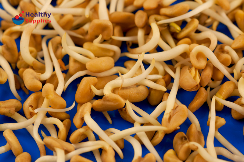 Methi seeds 100g (Fenugreek Seeds)