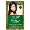 Amla (Indian Gooseberry) Powder- Ayumi 100g