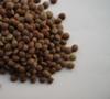 Brown Masoor Whole 2kg