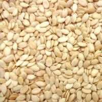 Charmagaz / egusi whole 100g