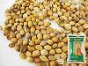 Coriander Seeds 100g