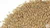 Cumin Whole 100g 