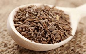 Black Cumin Seed / Kala Jeera 50g