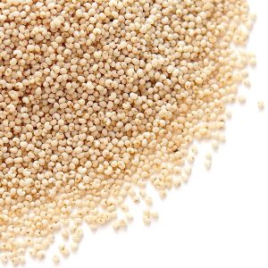 Poppy Seeds White 100g