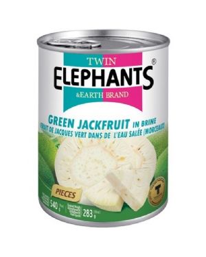 Twin Elephants Green Jackfruit in Brine 540g